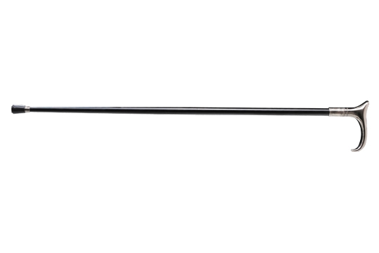 Sword Cane CEJ-S265-BL-1